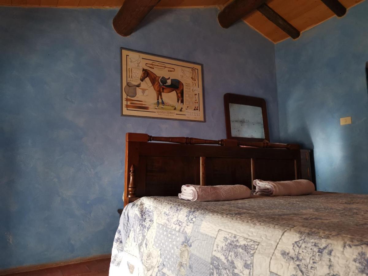 Daina Bianca Bed & Breakfast Solignano Exterior photo