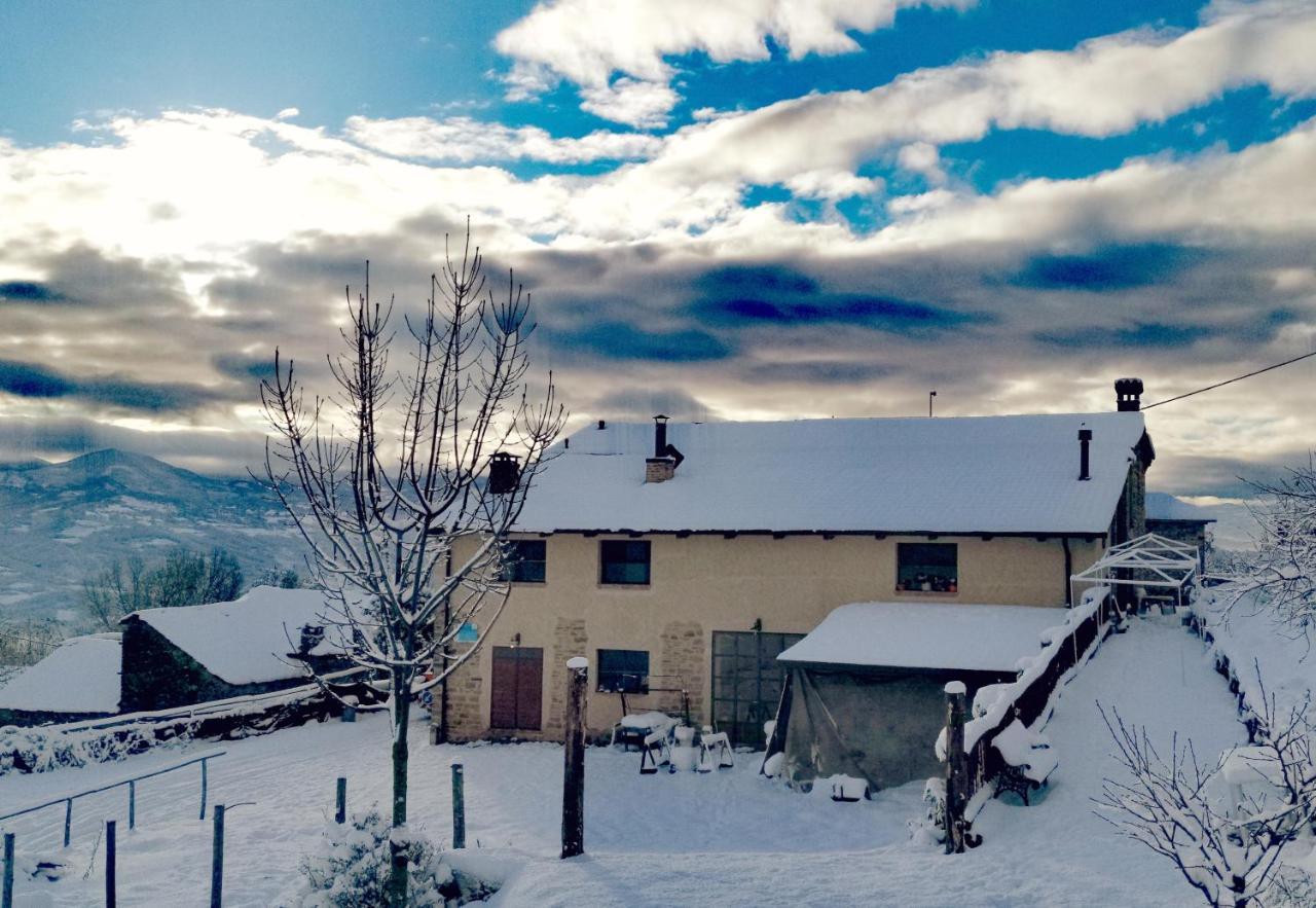 Daina Bianca Bed & Breakfast Solignano Exterior photo